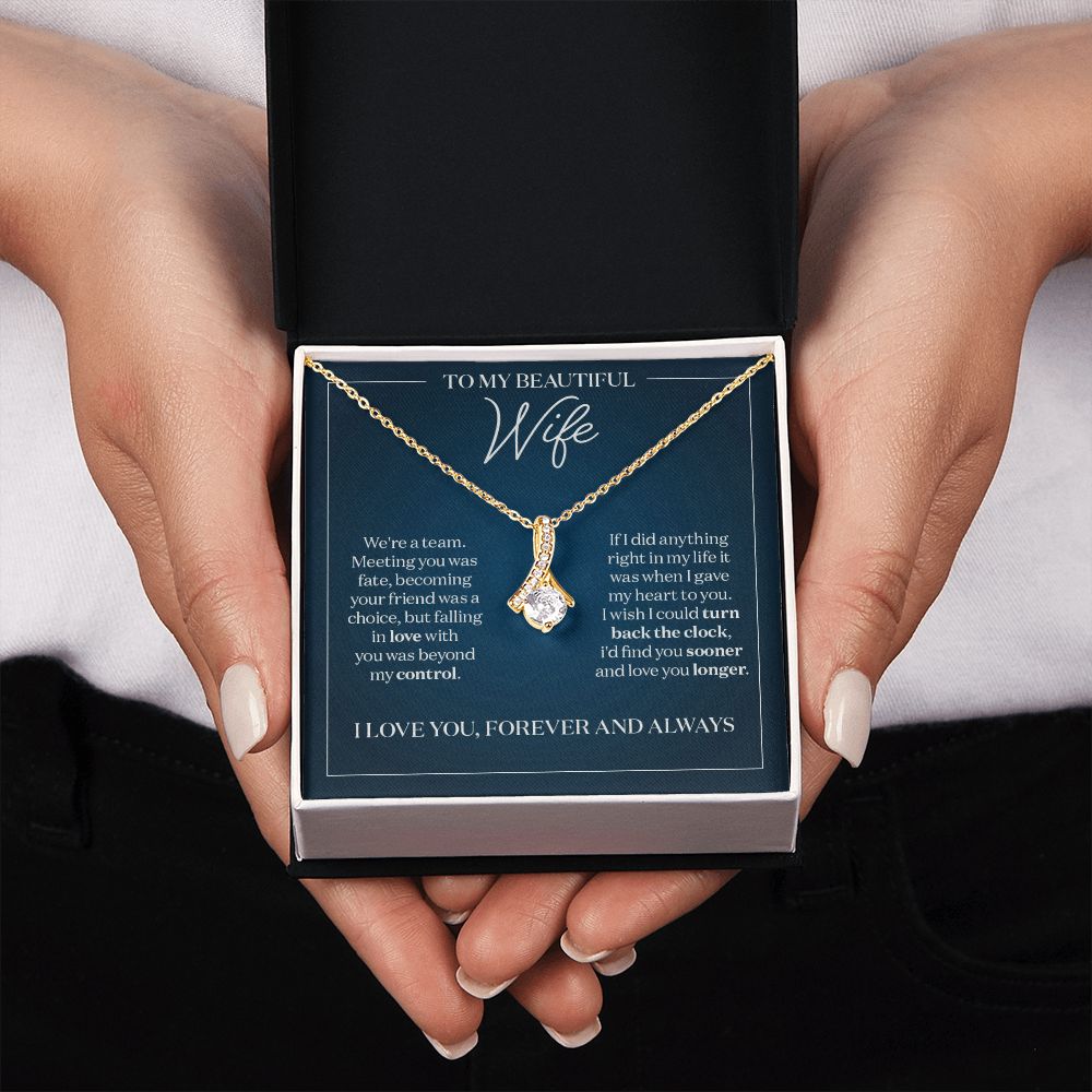 Gift for Wife - I Gave My Heart to You Necklace